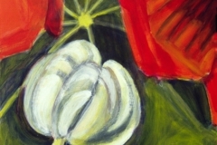 Indiankrassesommar II.