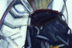 Fröställning vallmo.